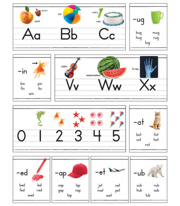 Photographic Alphabet Line Bulletin Board Set