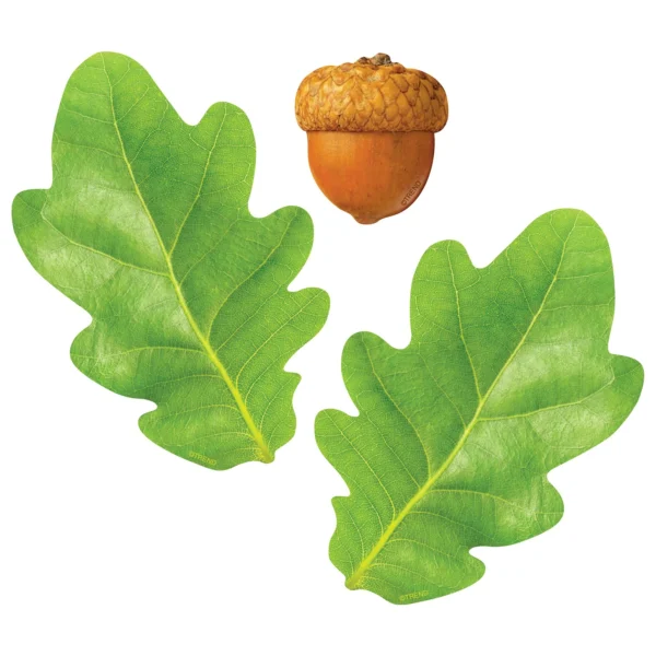 Oak Leaves & Acorns Classic Accents